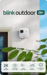 Blink Outdoor 2K+ (Newest Model) Review